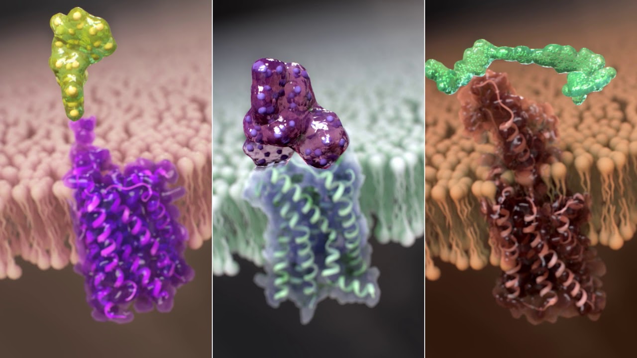 G-Protein Coupled Receptor Targeting Market Report 2021 | Global Industry Trends, Forecasts and Opportunity Assessment Till 2026