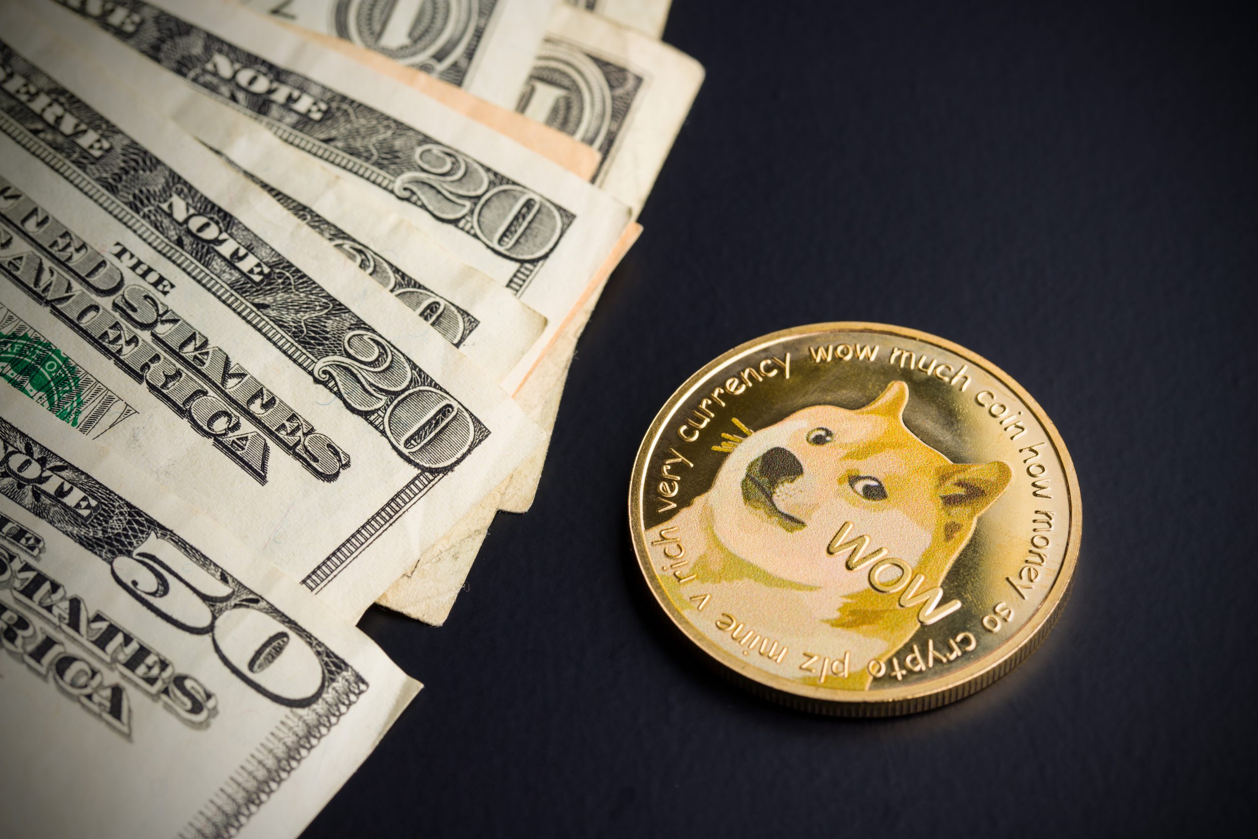 Dogecoin Stock Price Live on the Market