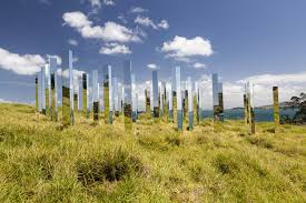 Wine Tour Deals In Waiheke