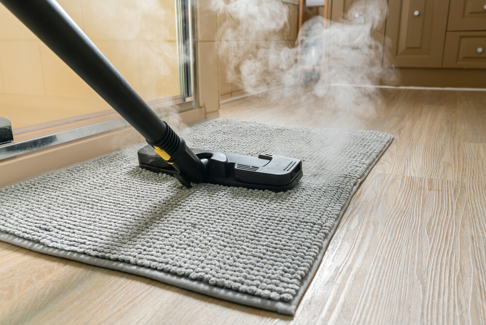 Hot water extraction carpet cleaner