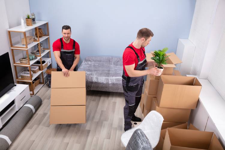 Packing And Unpacking Services Tampa