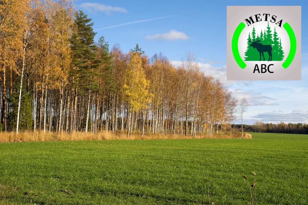 Parim viis metsade majandamiseks