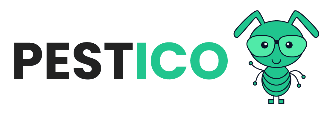 Wasp Removal in Bendigo - Pestico Pest Control Bendigo