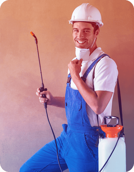 Flea Control Bendigo - Pestico Pest Control Bendigo