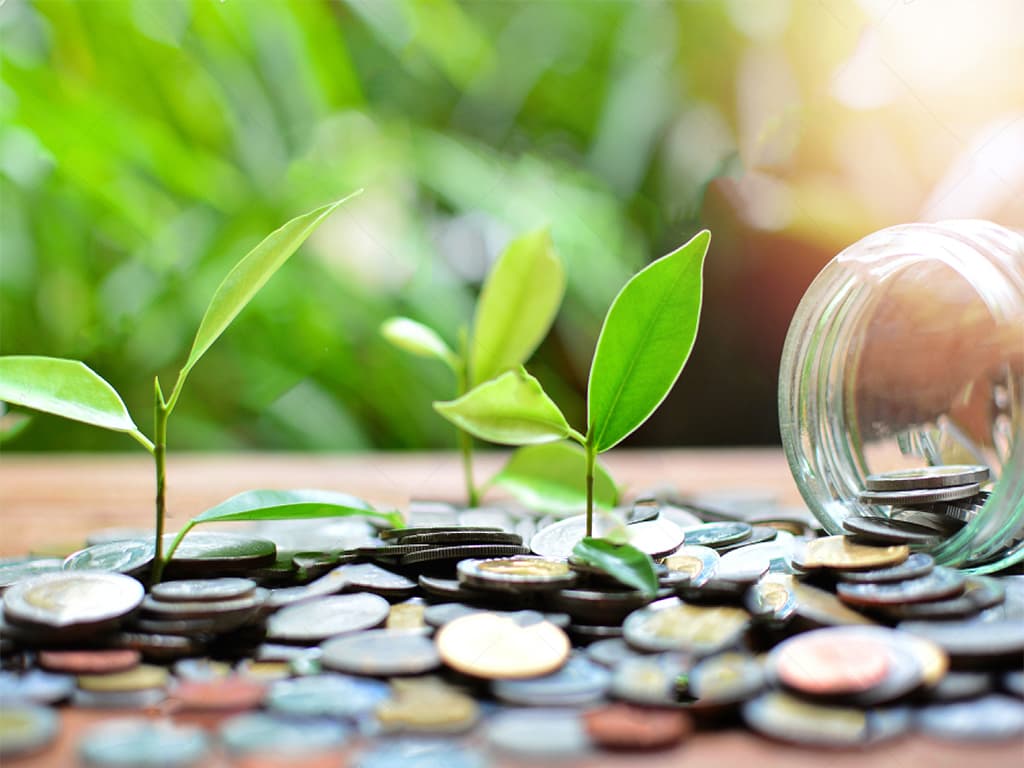 How To Attract Wealth Instantly In 7 Simple Steps!