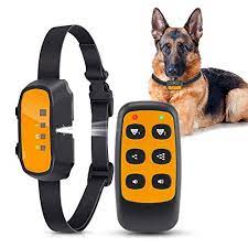 The 5 Best Citronella Bark Collar