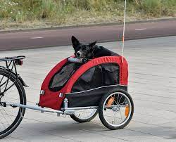 The 9 Best Dog Bike Trailers To Give Your Pup The Ride Of His Life