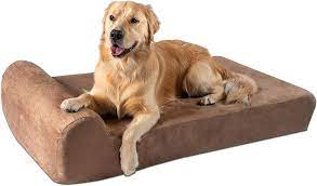 The 15 Best Dog Beds for Arthritic Dogs: Give Your Pup’s Joints The Support They Need