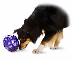 The 12 Best Treat Dispensing Dog Toys