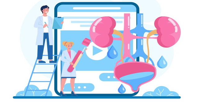 Best Urologists Email List | Urologists mailing list- AdvigData