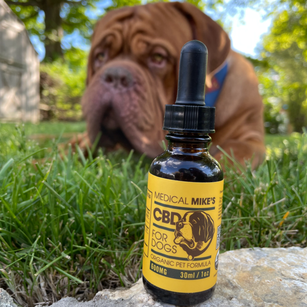 Is CBD Good for My Pet?