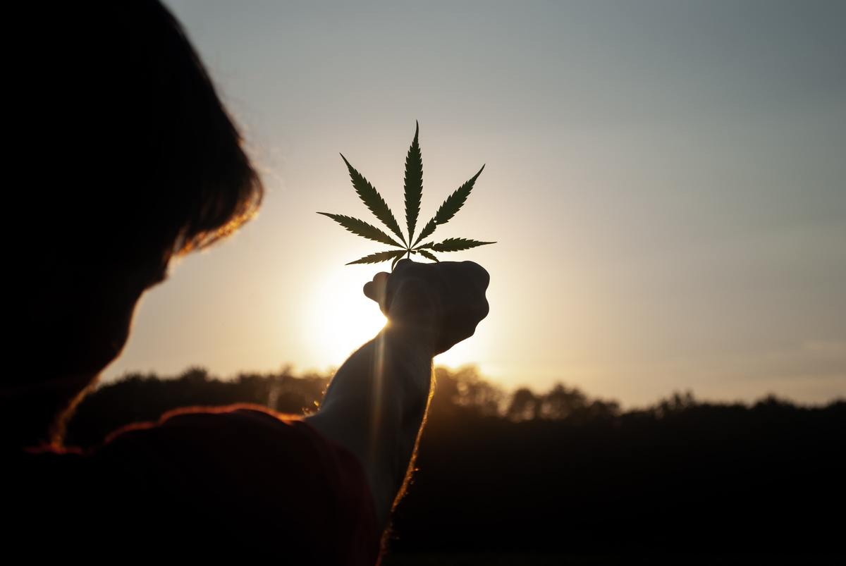 How Does the Law Affect Medical Cannabis in New York?