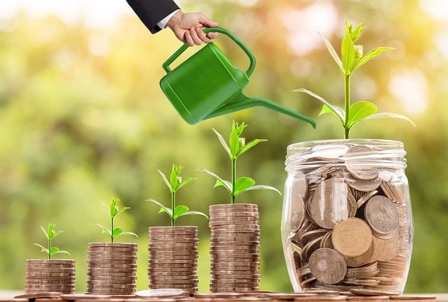 Long-Term Investment Options