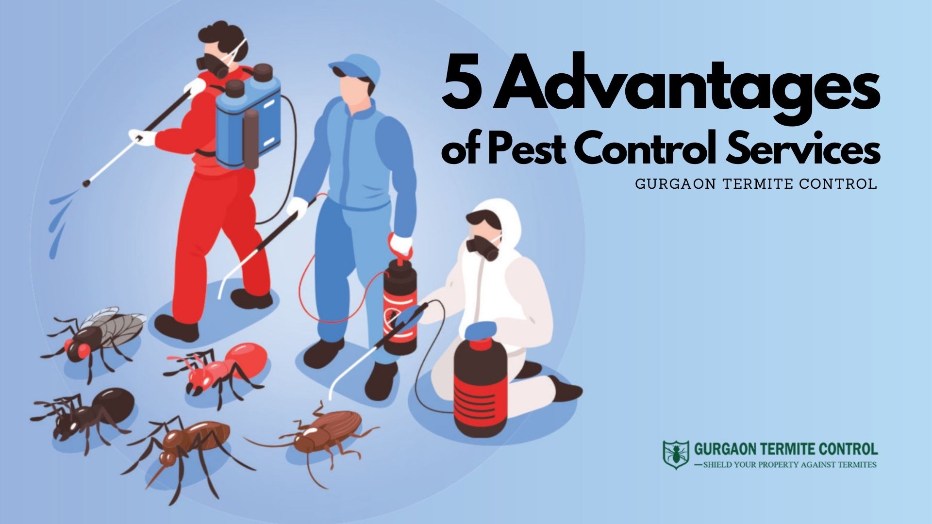 5 Advantages of Pest Control Services