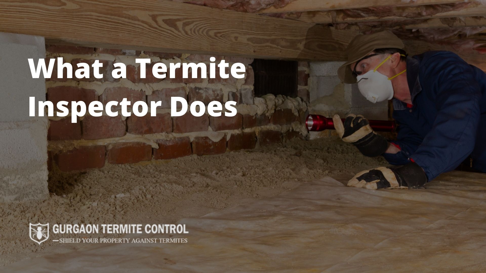 What a Termite Inspector Does