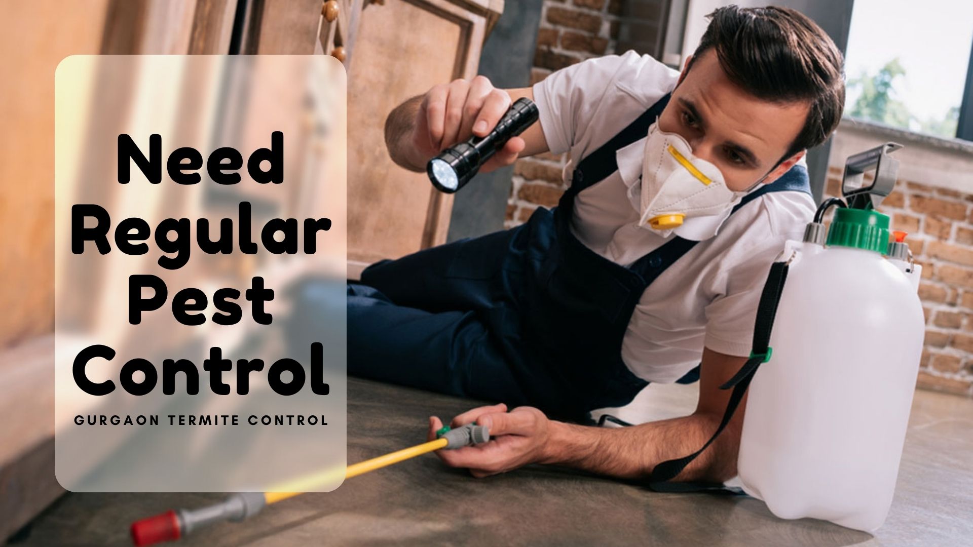 Why Do You Need to Do Regular Pest Control?