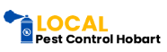 Spider Control Treatment in Hobart at low cost 