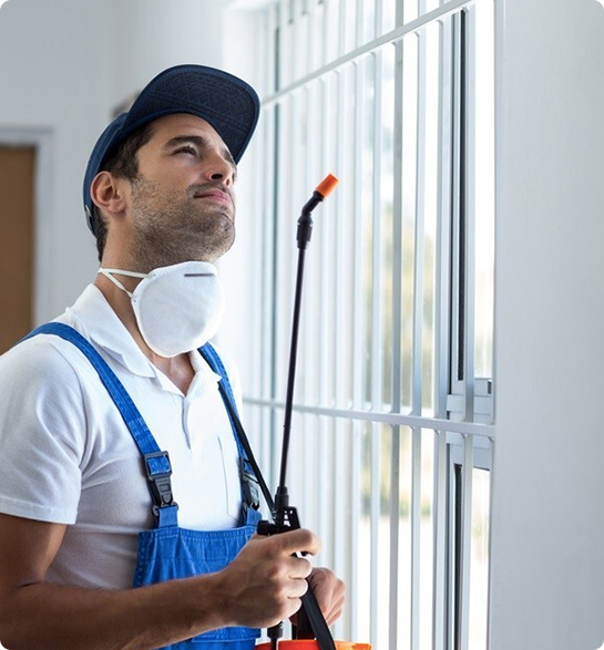 Commercial Pest Control in Hobart