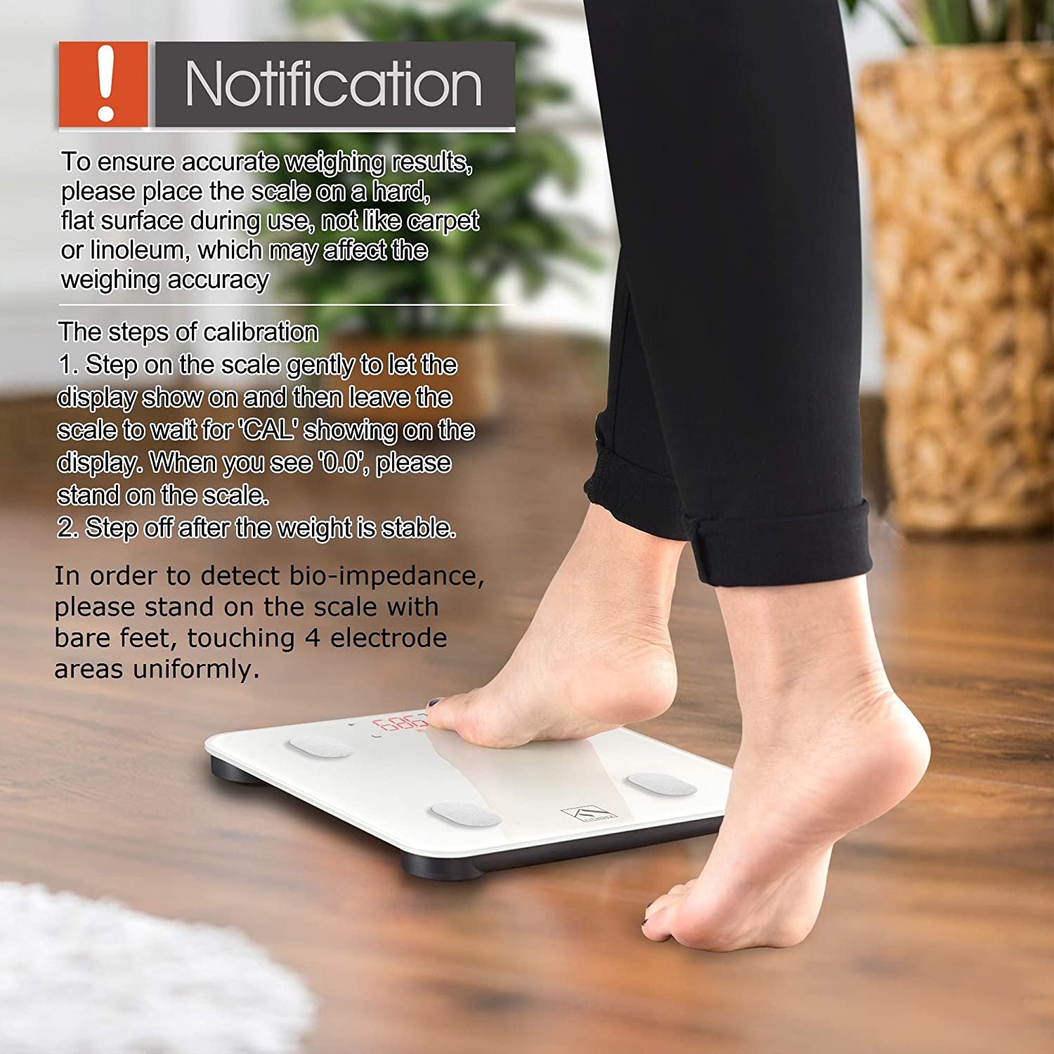 Fitindex scale