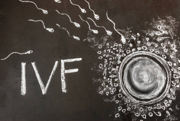 IVF Treatment: Resolving Female Infertility Issues Since Its Inception