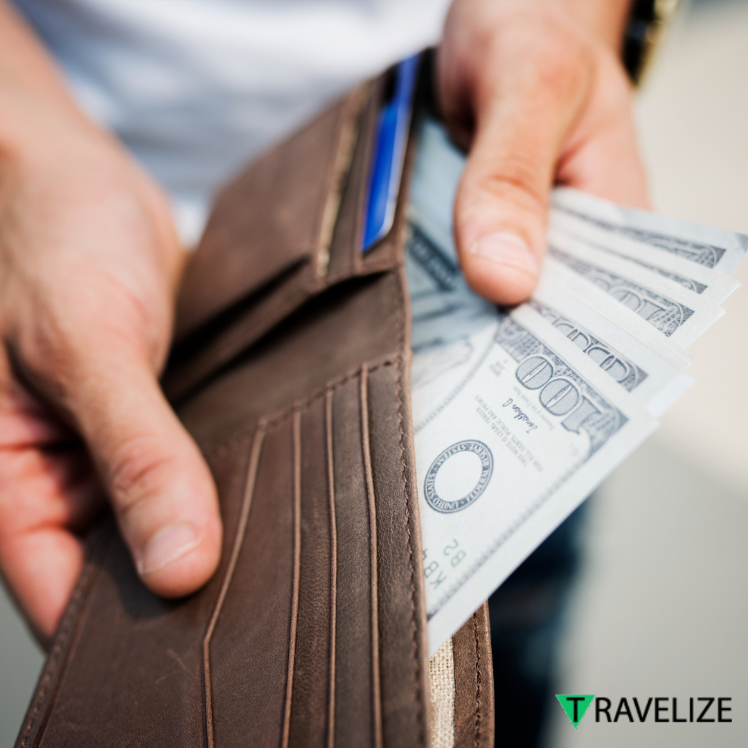 Travelize-Business Management Software
