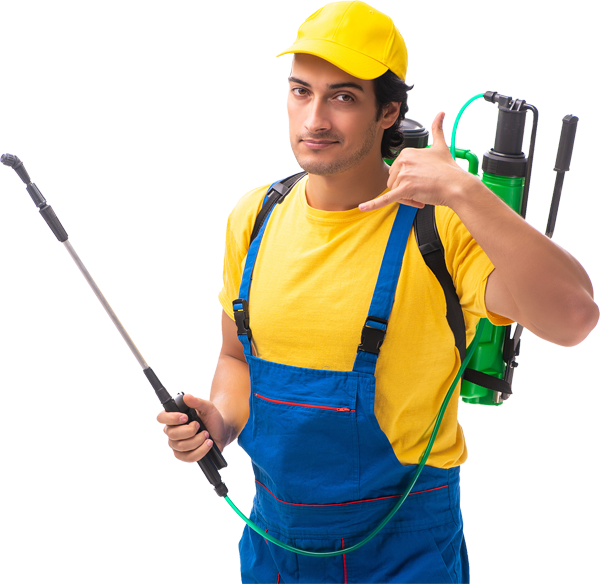 Reasons to Hire a Pest Control Company