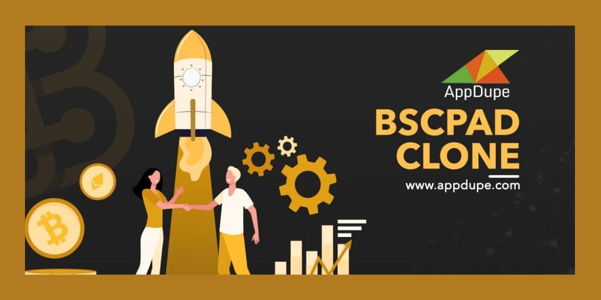 Have you heard about IDO Launchpad Development?