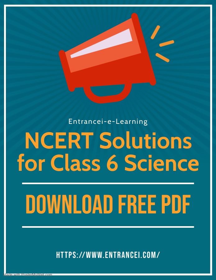 Where can I get the NCERT Solutions for Class 6 Science online?