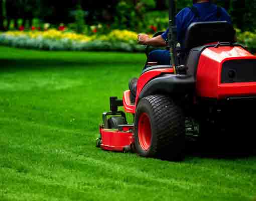 Professional Real Estate Property Services New England