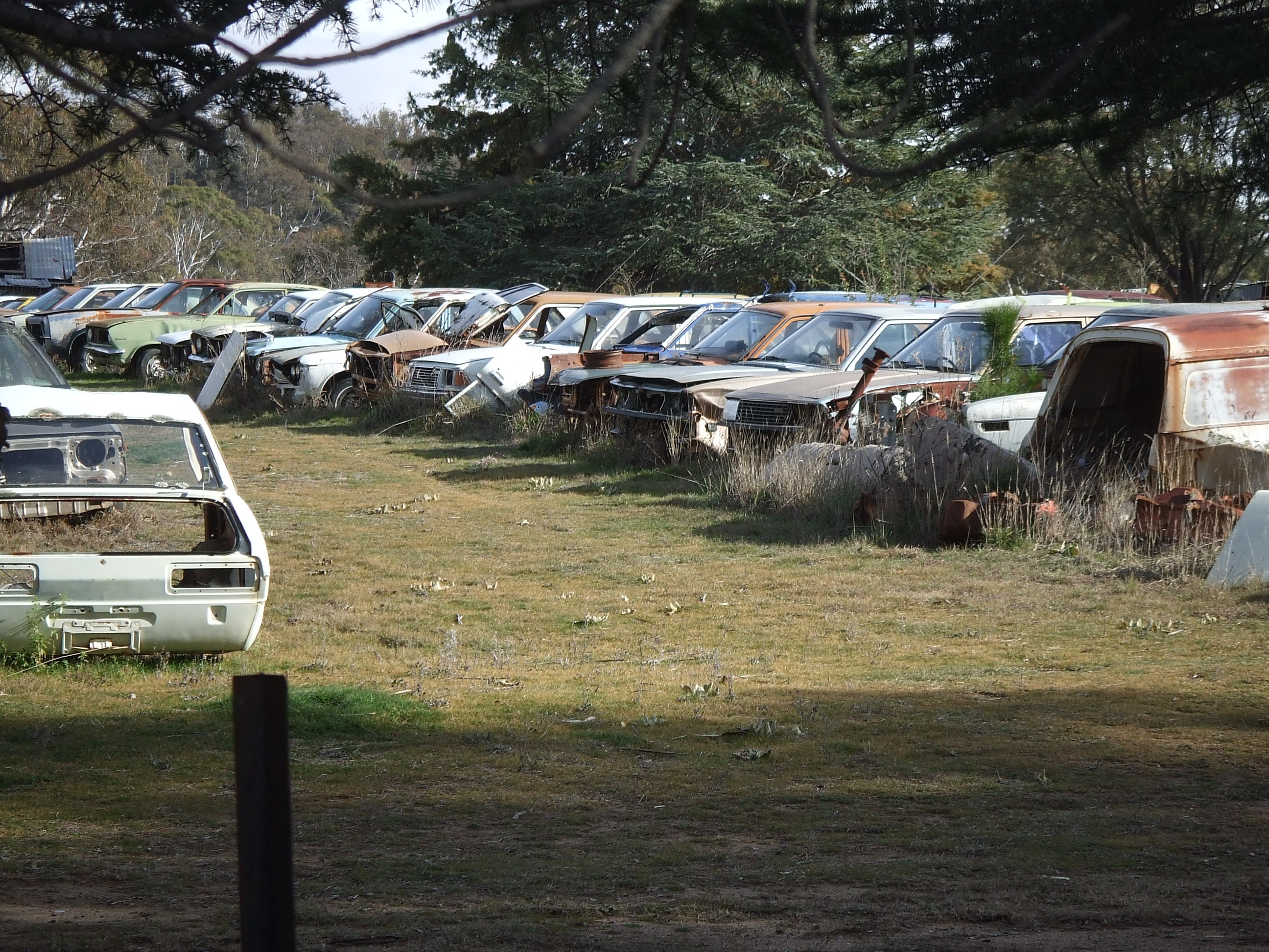 How Much Is Your Scrap Car Worth