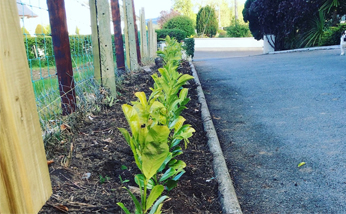 Hire Professional Landscaping Contractors in Edmonton