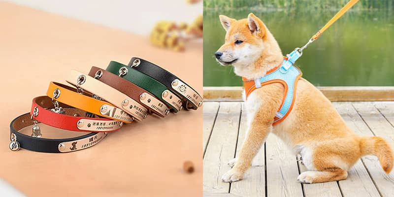 How to Find a Reliable China Dog Collar Manufacturer