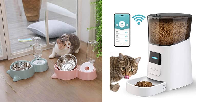 Top 12 Pet Bowls 2023 - Safe and Practical