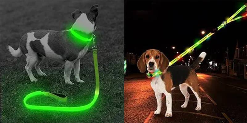 Some Safety Tips for Walking Your Dog at Night