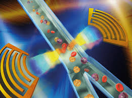 Cell Sorting Market Size, Share, Growth Opportunity & Global Forecast to 2027