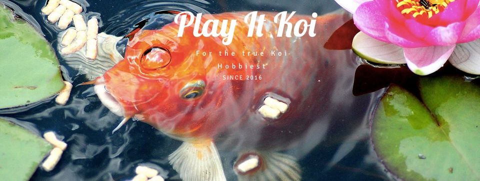 Play It Koi | Pond Supplies