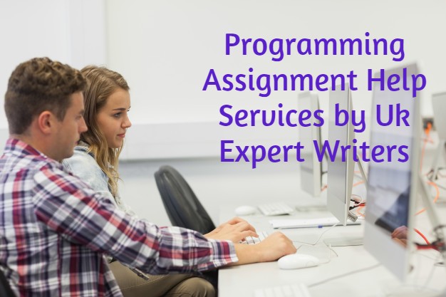 Benefits of Hiring Online Programming Assignment Help Service