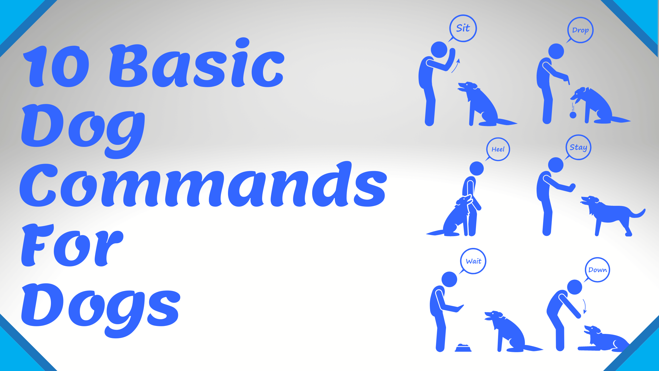 7 Easy Basic Dog Training Commands For First Time Pet Owners