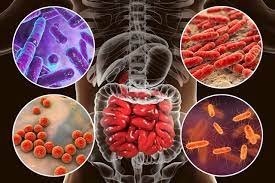 Human Microbiome Market 2020 Market Size, Dynamics & Forecast Report to 2027