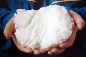 Dissolving Pulp Market Size, Share, Growth, Opportunities and Global Forecast to 2027