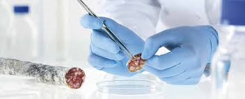 HALAL Food Testing Kits Market Size, Share, Regional Overview and Global Forecast to 2027