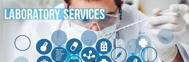 Report on Clinical Laboratory Services Market Research 2027 - Value Market Research