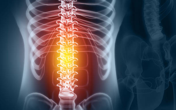 Discover the Benefits of Visiting a Chiropractor in Lafayette, CO