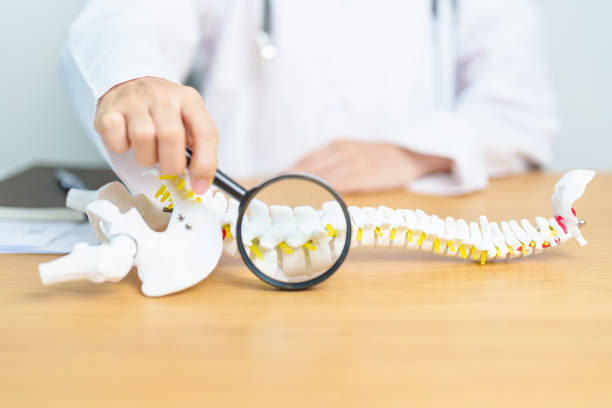 Benefits of Choosing Lafayette CO Chiropractor