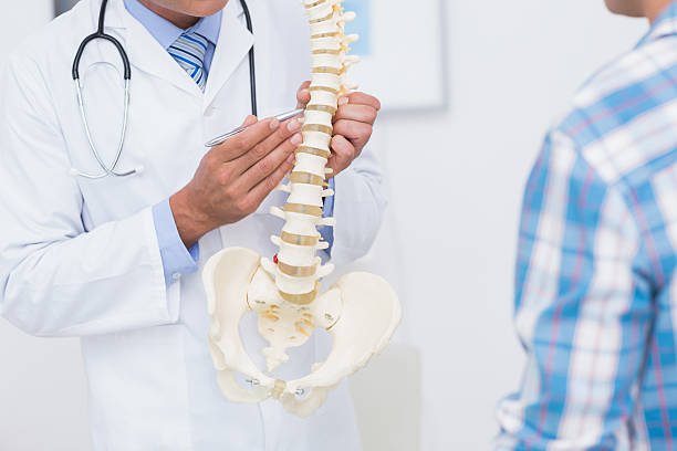Ways a Chiropractor Can Help You Live Without Pain