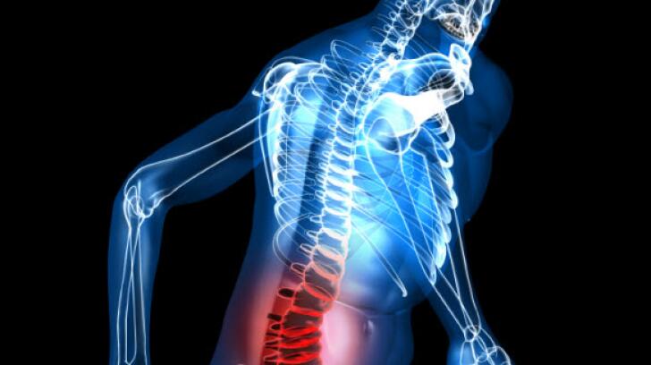 What are the Reasons to visit a Chiropractor in Boulder?