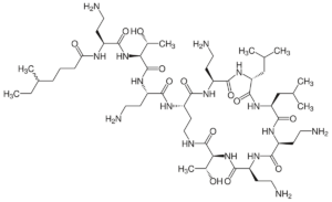 Polymixin Market Share, Trends, Product Estimates & Strategy Framework To, 2021-2026
