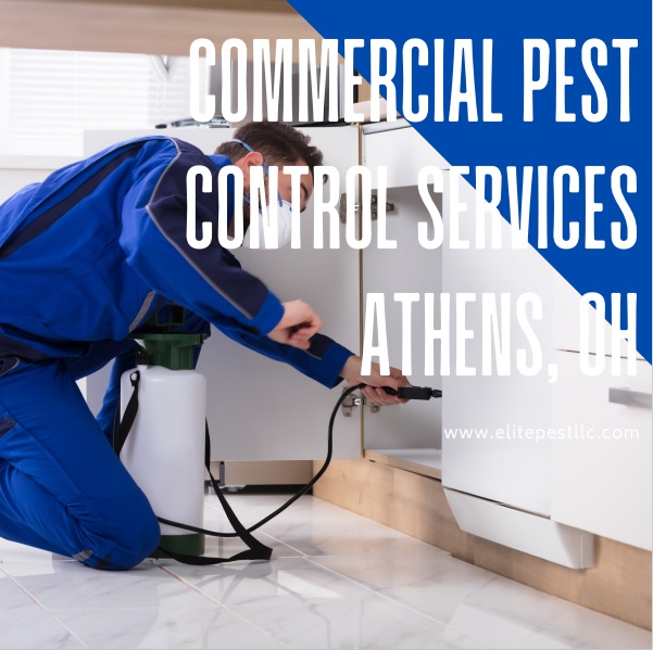 Elite Pest Management