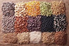 Global Bionematicides Market Size By Type, By Application, By Crop Type, By Geographic Scope And Forecast
