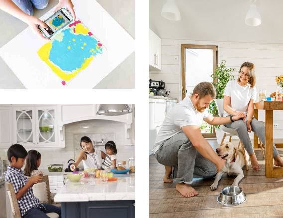 Hire Professional Organizer in Toronto